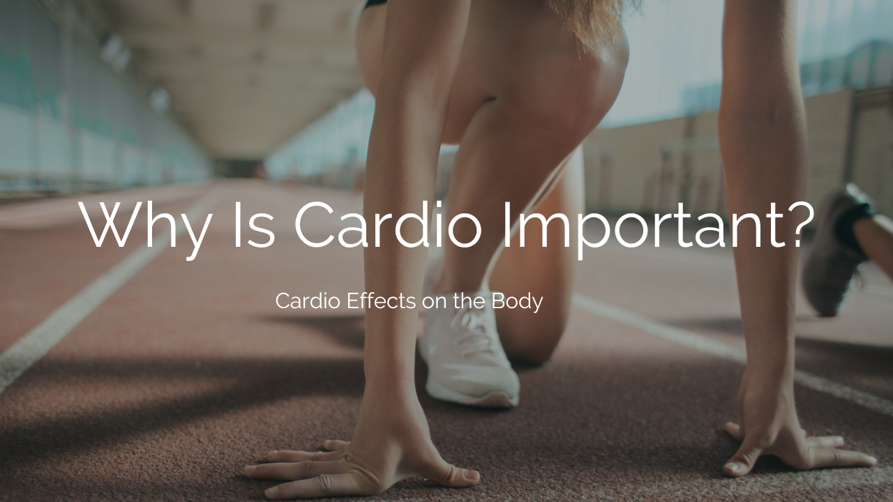 why is cardio important? cardio effects on the body