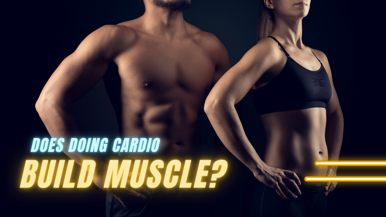 does cardio build muscle