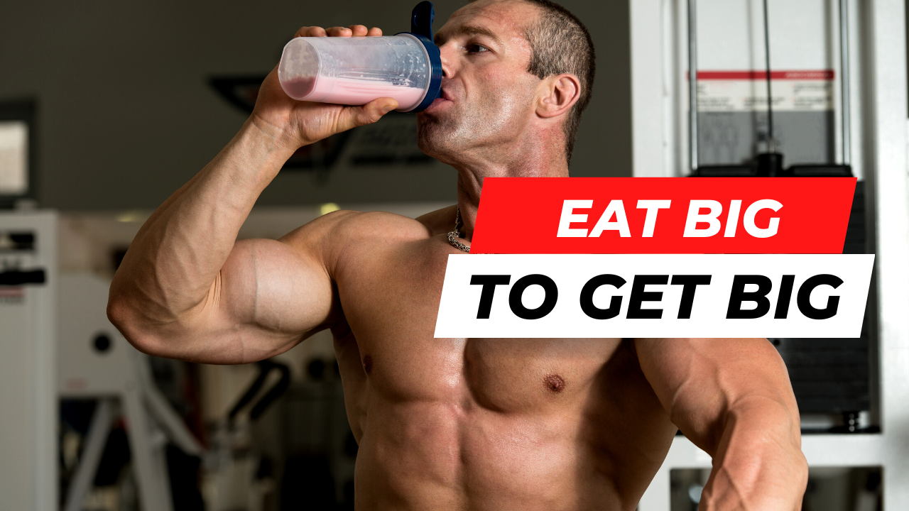 eat more for muscle gains